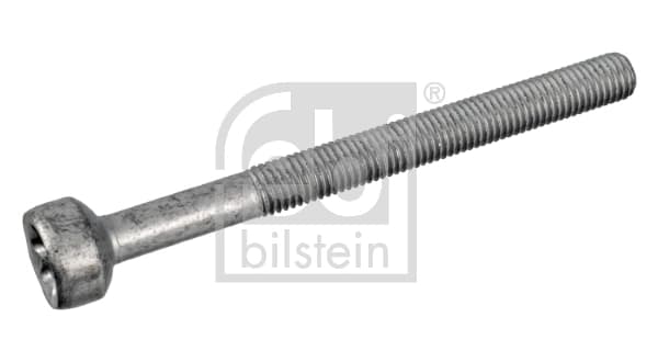 Kruvi, sissepritsedüüsi kinnitus FEBI BILSTEIN 172930