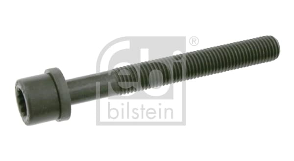Klapikaanekruvi FEBI BILSTEIN 06666