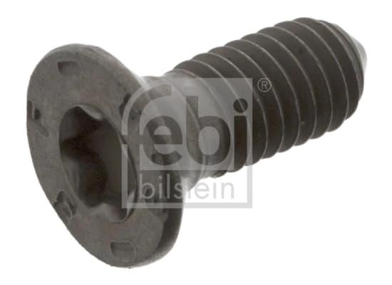Kruvi, piduriketas FEBI BILSTEIN 04511