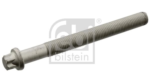 Klapikaanekruvi FEBI BILSTEIN 19419