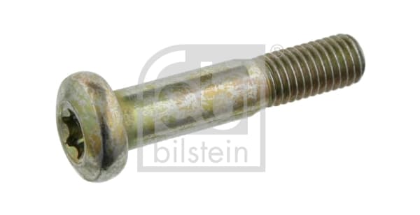 Kruvi, õõtshoob FEBI BILSTEIN 24391