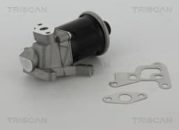 EGR-klapp TRISCAN 8813 29100