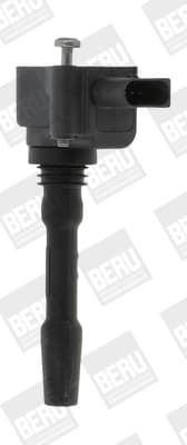 Süütepool BorgWarner (BERU) ZSE163