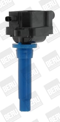 Süütepool BorgWarner (BERU) ZS433