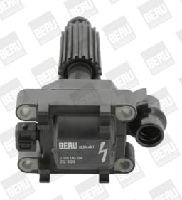 Süütepool BorgWarner (BERU) ZS308