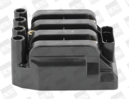 Süütepool BorgWarner (BERU) ZSE029