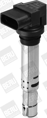 Süütepool BorgWarner (BERU) ZSE030