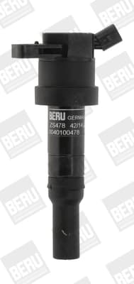 Süütepool BorgWarner (BERU) ZS478