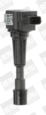Süütepool BorgWarner (BERU) ZS489