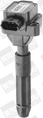 Süütepool BorgWarner (BERU) ZS041