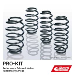 Vedrustusekomplekt, vedrud EIBACH E10-15-011-02-22