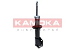 Amort KAMOKA 2001039