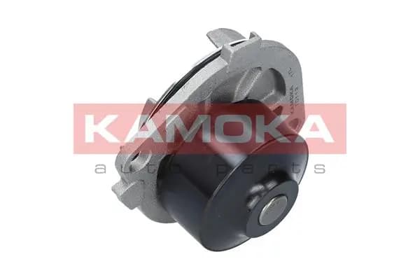 Veepump, mootori jahutus KAMOKA T0113