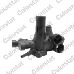 Jahutusvedeliku flants CALORSTAT by Vernet WF0017