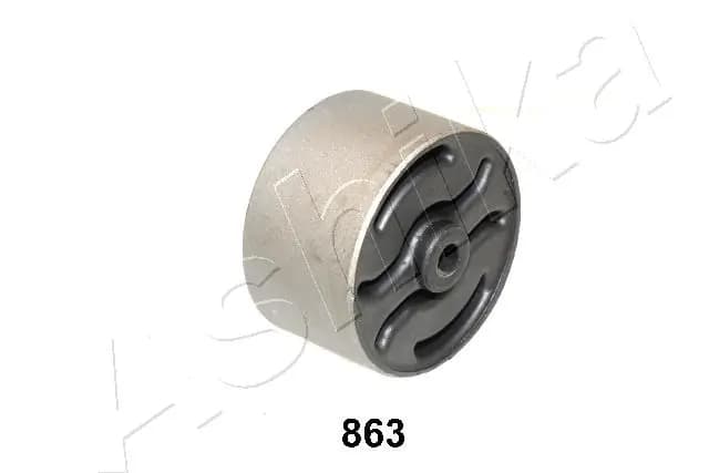Paigutus, Mootor ASHIKA GOM-863