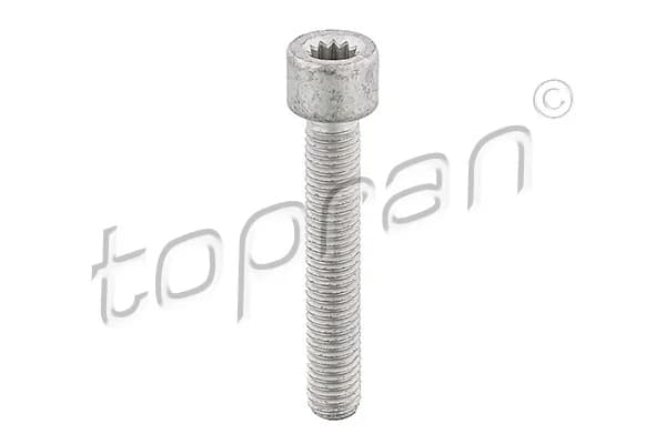 Kruvi, ajamivõlli äärik TOPRAN 104 306