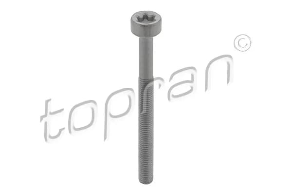 Kruvi, sissepritsedüüsi kinnitus TOPRAN 410 287