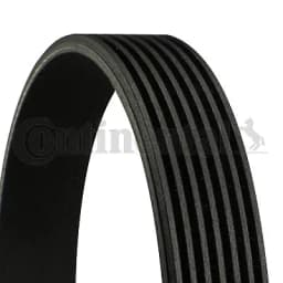 Soonrihm CONTINENTAL CTAM 7PK1104