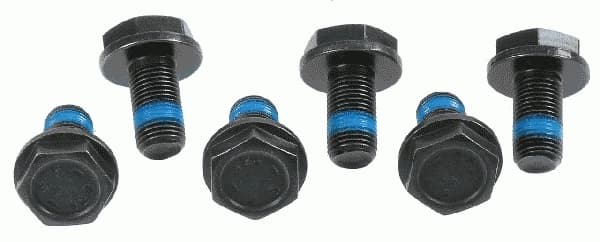 Kruvikomplekt, hooratas SACHS 3096 005 000