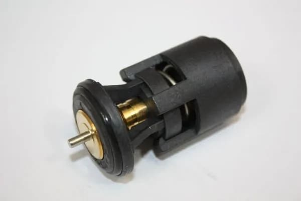 Termostaat, Jahutusvedelik AUTOMEGA 160044810