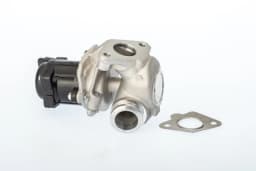 EGR-klapp BorgWarner 711021D
