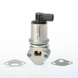 EGR-klapp BorgWarner 710721D