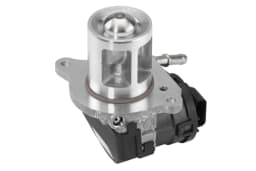 EGR-klapp BorgWarner 710095D