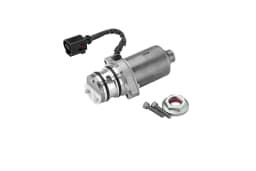 Pump, lamellsidur (neljarattavedu) BorgWarner DS119863