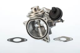 EGR-klapp BorgWarner 7650D