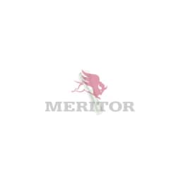 Membraanpidurisilinder MERITOR 68109010