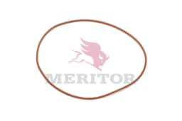 Tihend, diferentsiaalikorpuse kaas MERITOR 5X1002