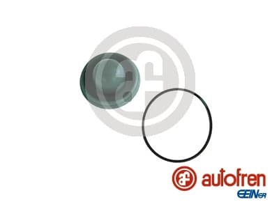 Remondikomplekt, peapidurisilinder AUTOFREN SEINSA D1286