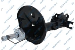 Amort GSP 32315382