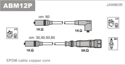 Süütesüsteemikomplekt JANMOR ABM12P