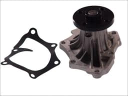 Veepump, mootori jahutus THERMOTEC D12004TT