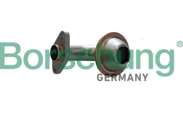 Toru, õlipump Borsehung B12308