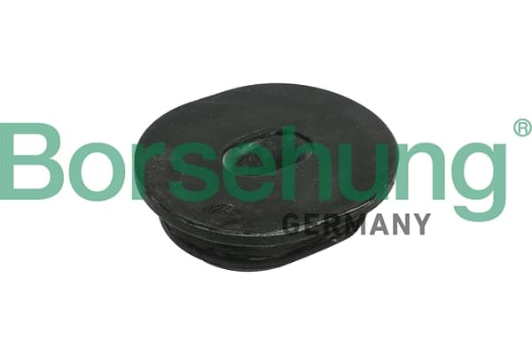 Paigutus, radiaator Borsehung B11362