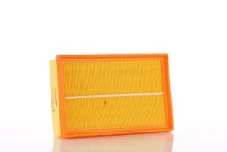 Õhufilter PZL Filters WA50315