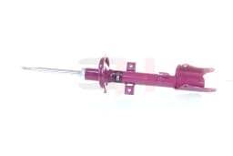 Amort GH GH+351056