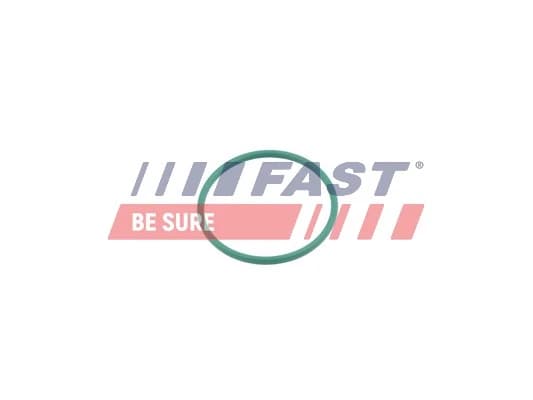 Rõngastihend, õhulaadevoolik FAST FT49921