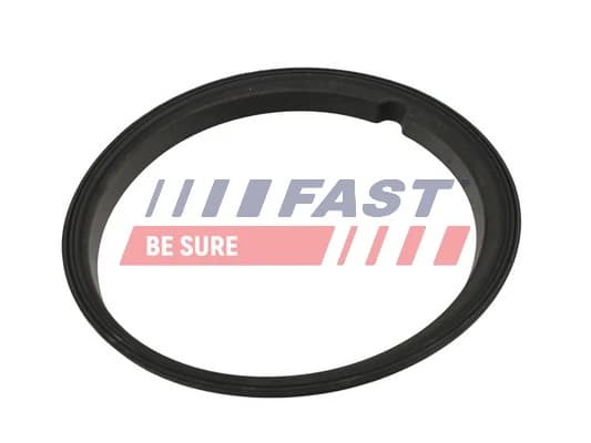 Tihend, kütuseetteandja FAST FT48502
