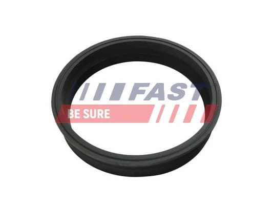 Tihend, kütuseetteandja FAST FT48501