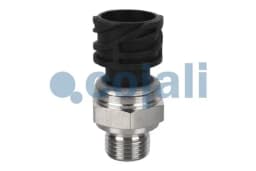 Andur COJALI 2260283