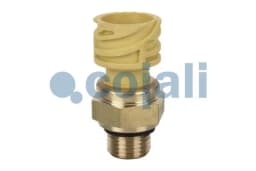Andur COJALI 2260284