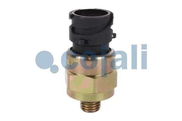Survelüliti, pidurihüdraulika COJALI 2260442