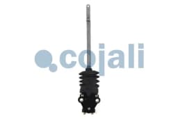 Õhkvedrustusklapp COJALI 2214518