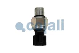 Andur COJALI 2263002