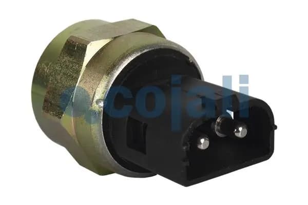 Survelüliti, pidurihüdraulika COJALI 2260438
