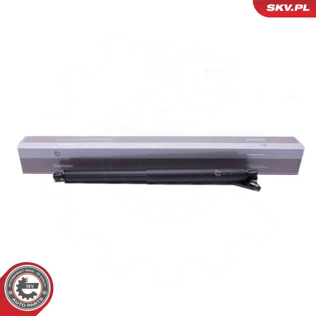 Elektrimootor, tagaluuk ESEN SKV 52SKV963