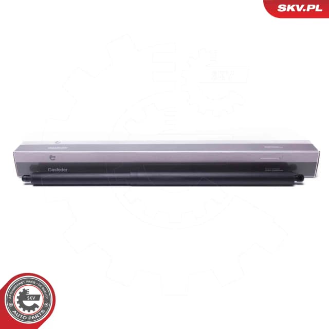 Elektrimootor, tagaluuk ESEN SKV 52SKV971